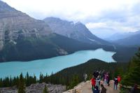 Banff-Nationalpark - Peyto Lake