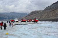 Jasper-Nationalpark - Athabasca Glacier