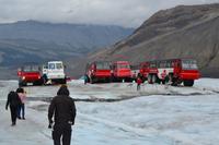 Jasper-Nationalpark - Athabasca Glacier