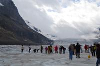 Jasper-Nationalpark - Athabasca Glacier