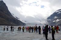 Jasper-Nationalpark - Athabasca Glacier