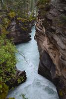 Jasper-Nationalpark - Maligne Canyon