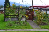 Kaffeepause in McBride