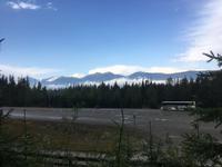 Regenwanderung im Ancient Forest bzw. Chun T’oh Whudujut Provincial Park