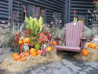 Fairmont Montebello Hotel