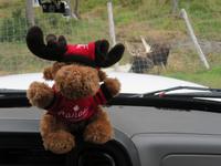 Marcel im Omega Wildpark