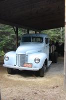 Algonquin-Loggingtrail