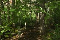 Algonquin-Nationalpark