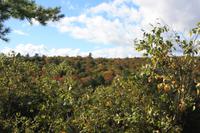 Algonquin-Nationalpark