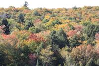 Algonquin-Nationalpark