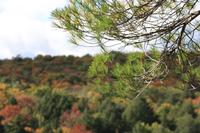 Algonquin-Nationalpark