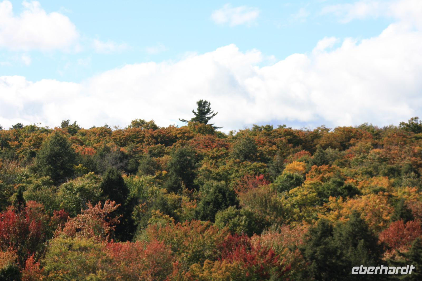 Algonquin-Nationalpark
