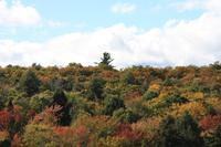 Algonquin-Nationalpark