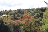 Algonquin-Nationalpark