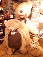 Quebec - Bärchenfamilie