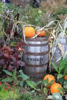 Quebec - Halloween (2)