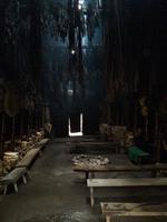 Sainte-Marie among the Hurons 