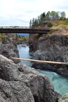 Lachsbeobachtung am Moricetown Canyon