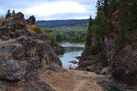 Lachsbeobachtung am Moricetown Canyon