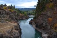 Lachsbeobachtung am Moricetown Canyon