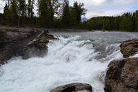Lachsbeobachtung am Moricetown Canyon