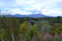 Hagwiglet Canyon & Bridge