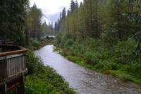 Erste Bärenbeobachtung am Fish Creek