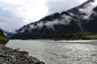 Bald Eagles am Salmon River