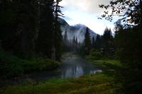 Dritte Bärenbeobachtung am Fish Creek