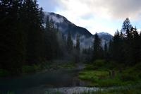 Dritte Bärenbeobachtung am Fish Creek