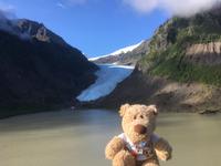 Am Bear Glacier