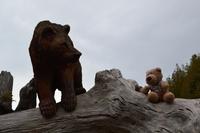 Vancouver Island - Telegraph Cove