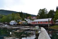 Vancouver Island - Telegraph Cove