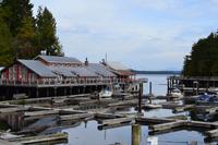 Vancouver Island - Telegraph Cove