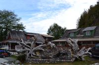 Vancouver Island - Telegraph Cove