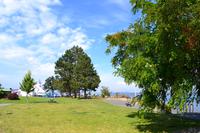 Vancouver Island - Mittagspause in Campbell River