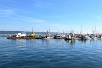 Vancouver Island - Mittagspause in Campbell River