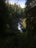 Vancouver Island - Elk Falls Provincial Park