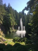 Vancouver Island - Butchart Gardens