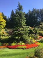 Vancouver Island - Butchart Gardens