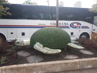 Ost-Kanada zum Indian Summer - Toronto