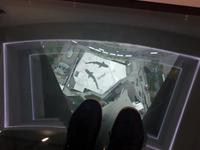 Ost-Kanada zum Indian Summer - Toronto, CN Tower