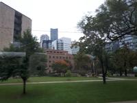 Ost-Kanada zum Indian Summer - Toronto