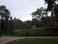 Ost-Kanada zum Indian Summer - Toronto