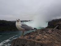 Ost-Kanada zum Indian Summer - Niagara-Fälle