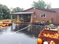 Ost-Kanada zum Indian Summer - Ontario-Region