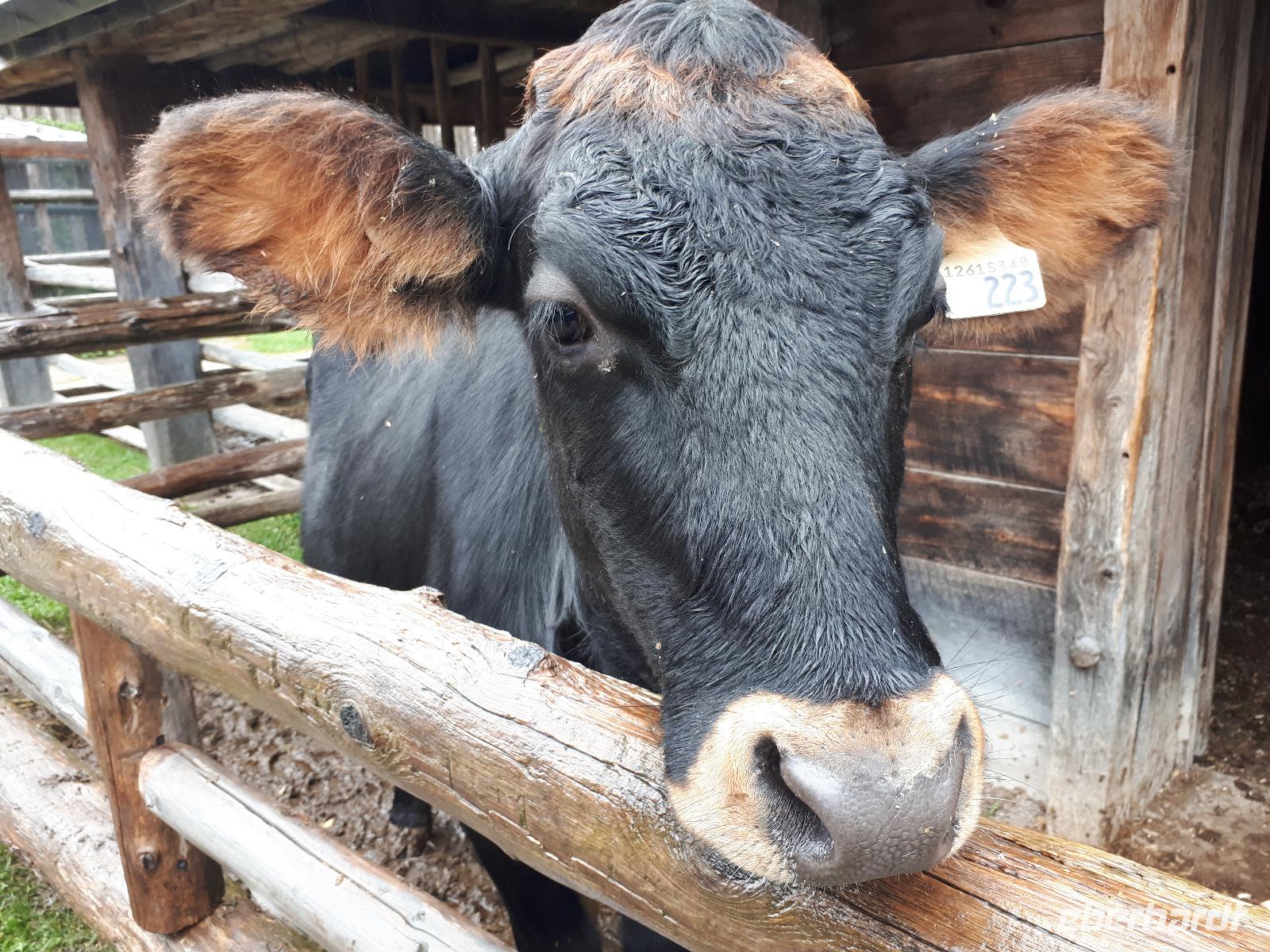 Ost-Kanada zum Indian Summer - St. Marie-among-the-Hurons