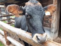 Ost-Kanada zum Indian Summer - St. Marie-among-the-Hurons