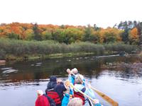 Ost-Kanada zum Indian Summer - Kanutour im Algonquin Provinz-Park