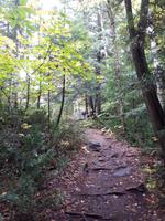 Ost-Kanada zum Indian Summer - Algonquin Provinz-Park